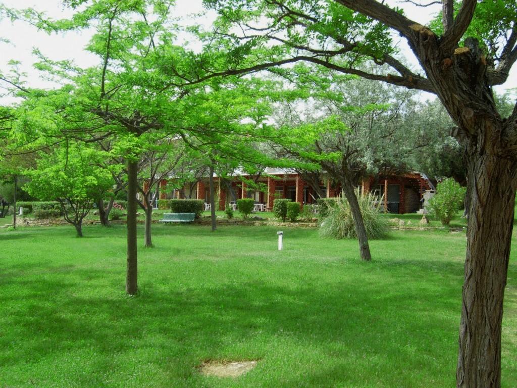 Le Domaine Des Oliviers Apartman Saint-Cyr-sur-Mer Kültér fotó